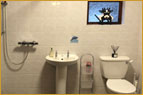 Downstairs wet room
