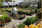Holden Clough Nursery and Cafe