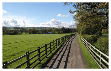 Tranquil lanes
